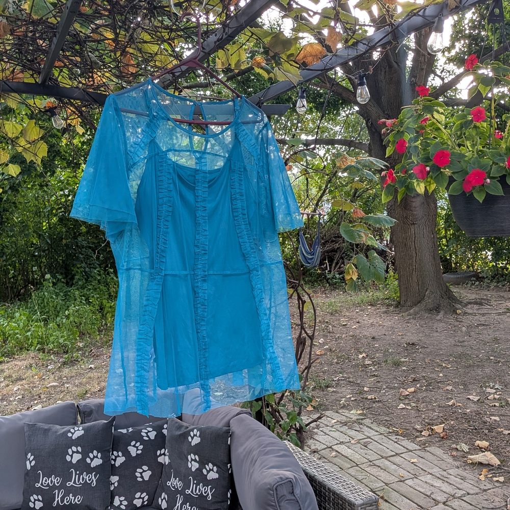 Lane Bryant Turquoise Mesh Top - Picture 2 of 3